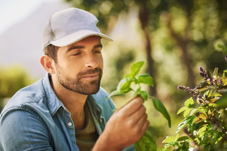 Casquette écologique : matières recyclées et coton bio, le vrai du faux
